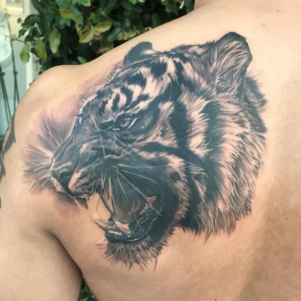 Tiger