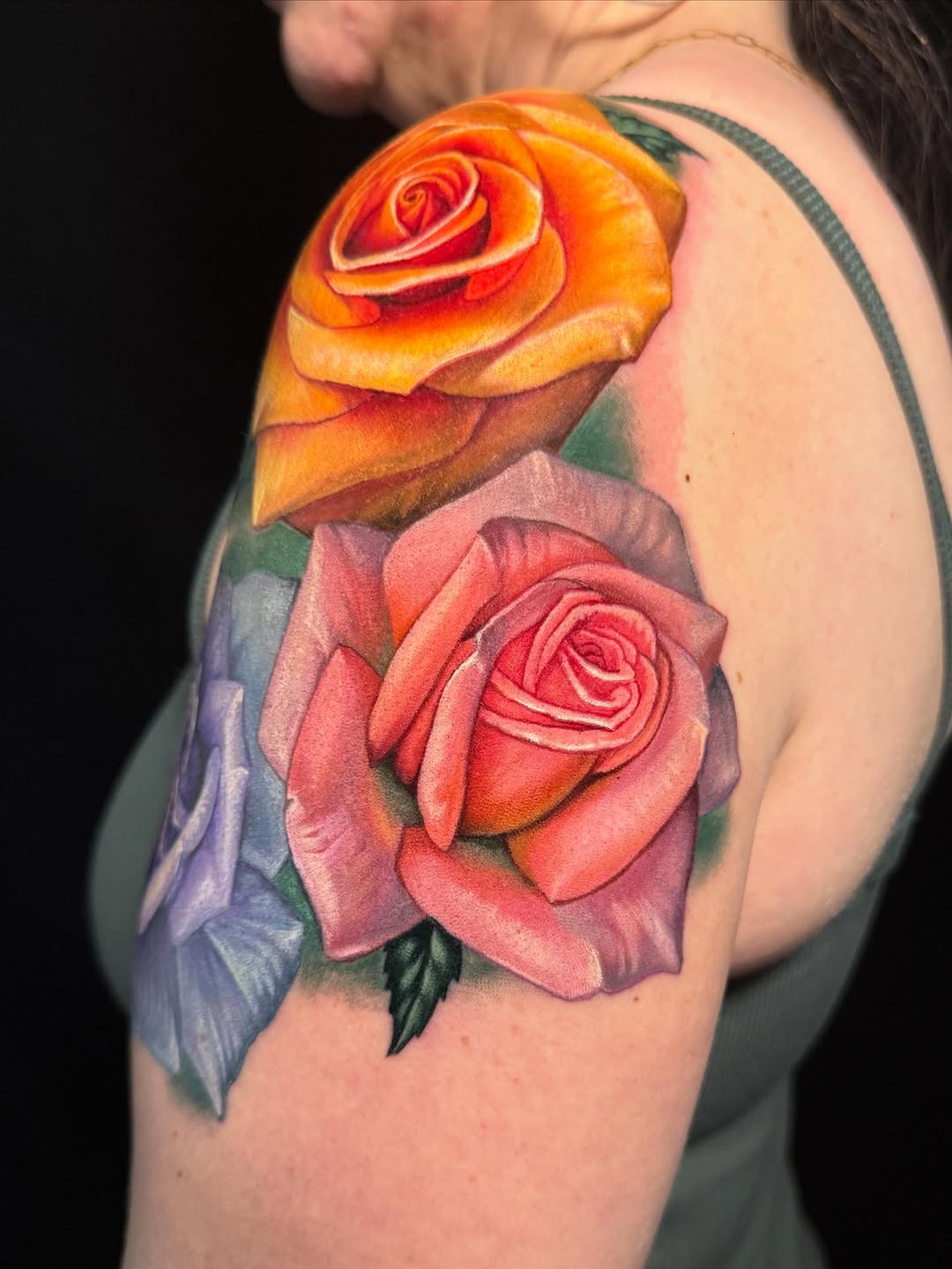 Flower, Rose, Nature