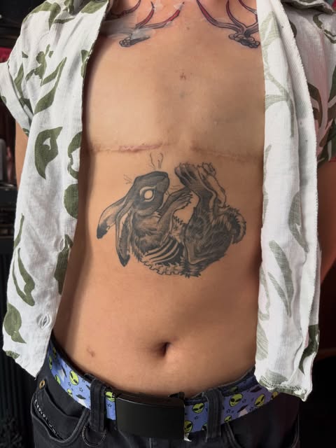 Flower, Animal, 사무라이, Tiger