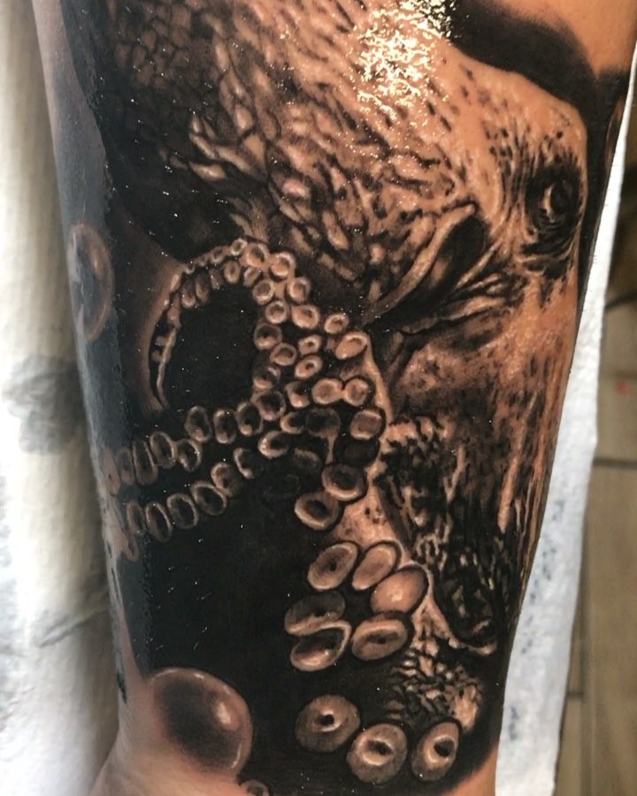 Animal