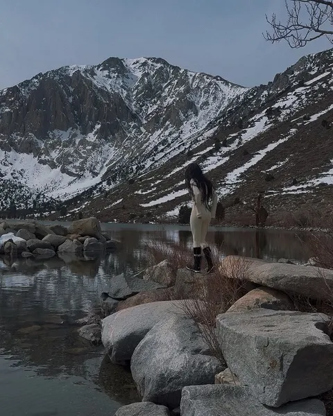 ponywave