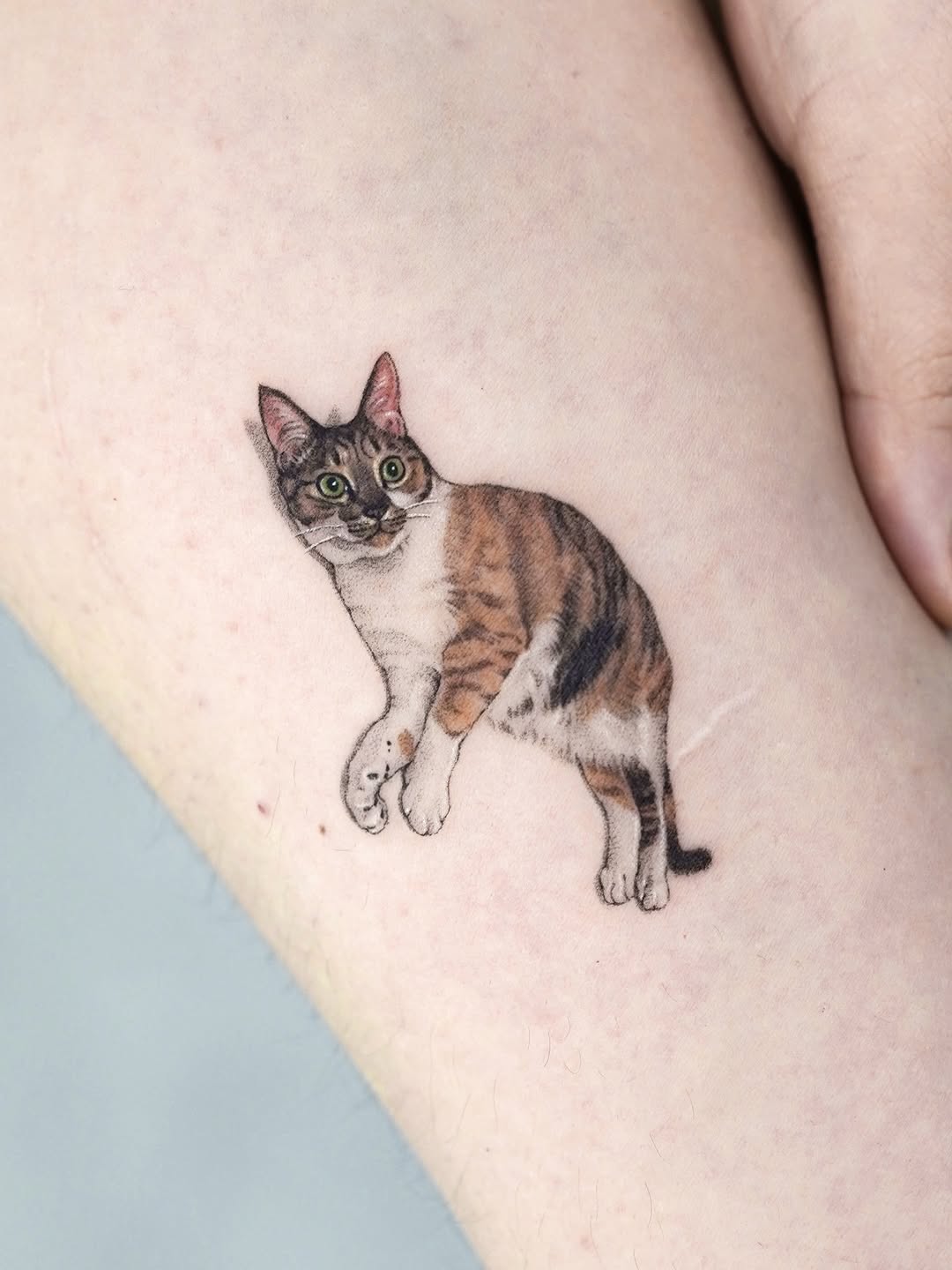 dorok.tattoo