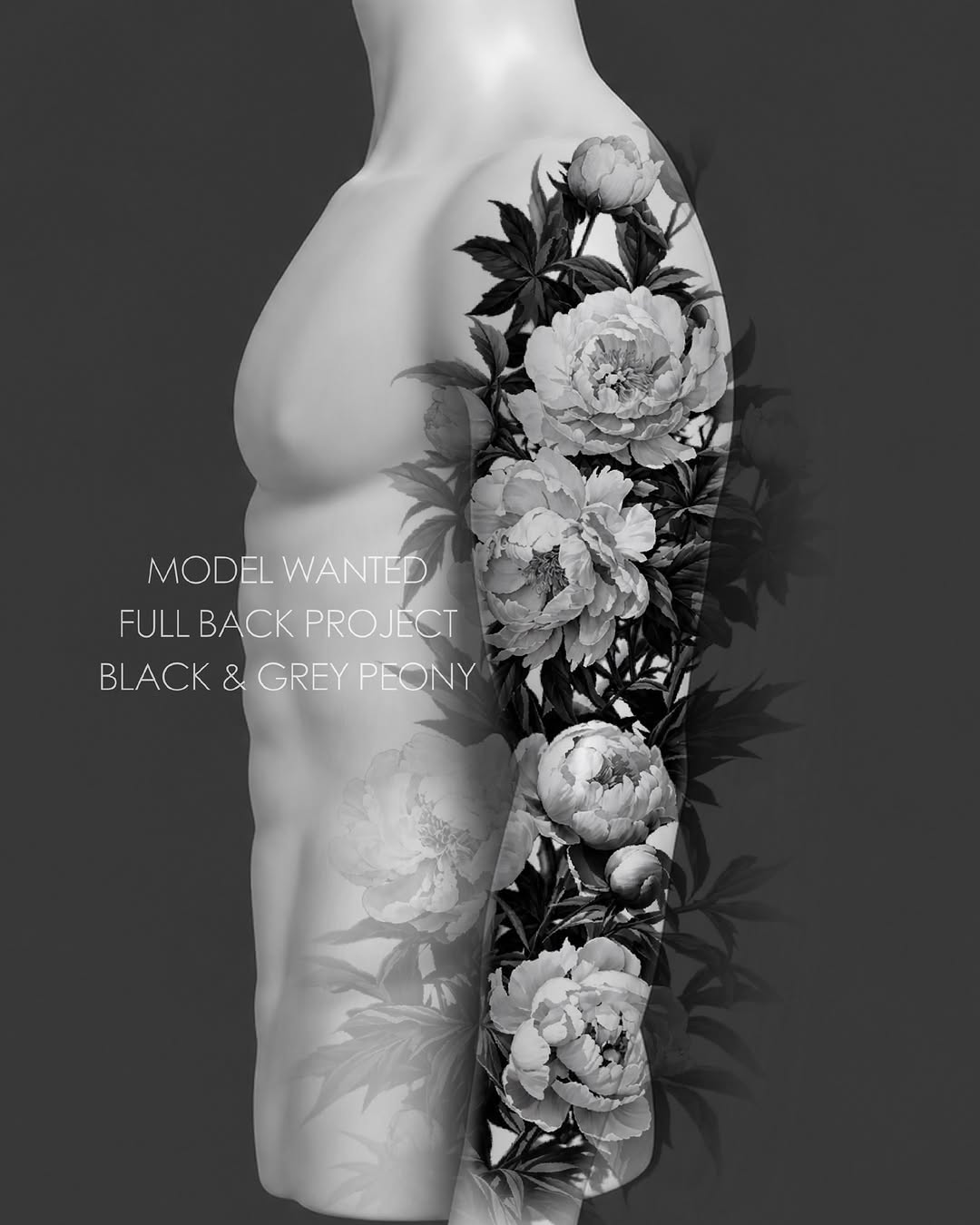 Flower, Nature, Rose
