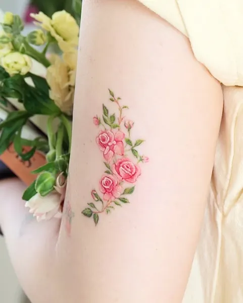 Flower, Rose