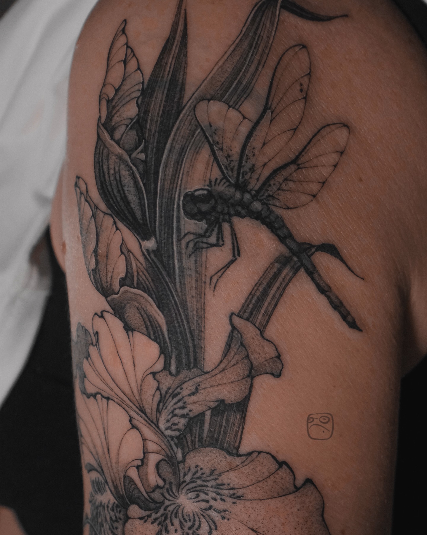 Flower, Rose, 아이리스, 난초