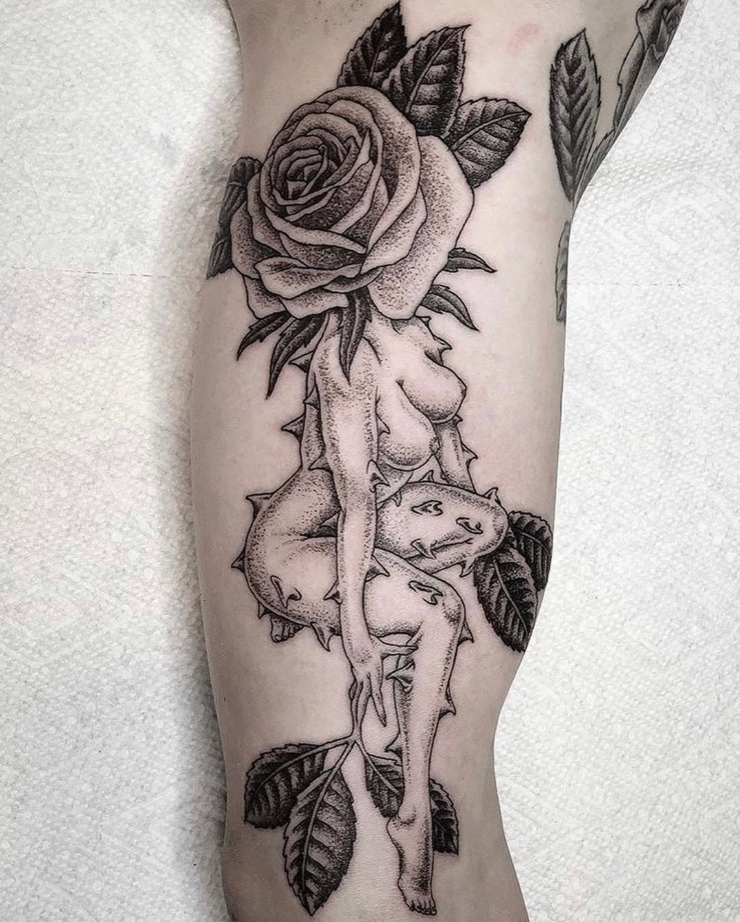 Flower, Rose