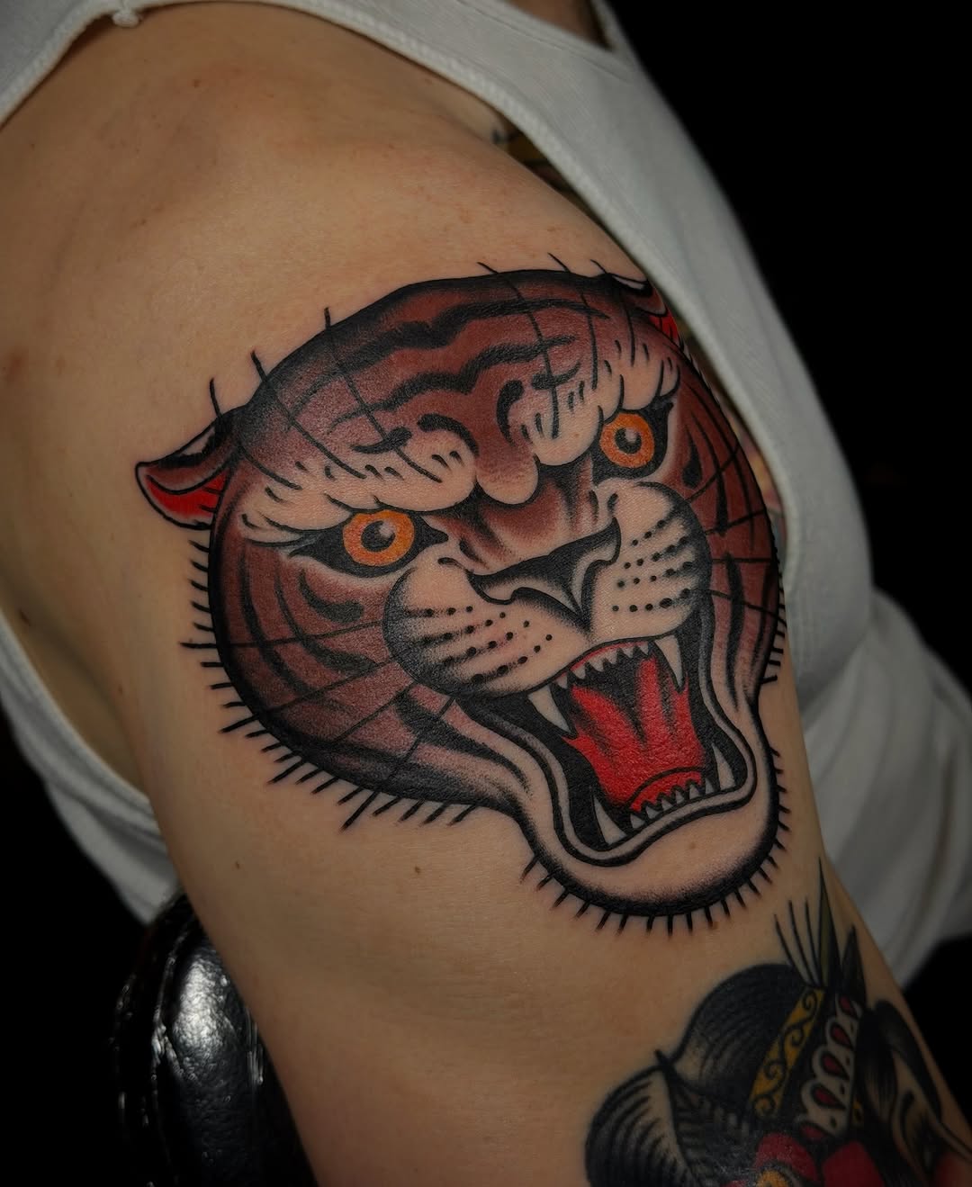 Tiger, Animal