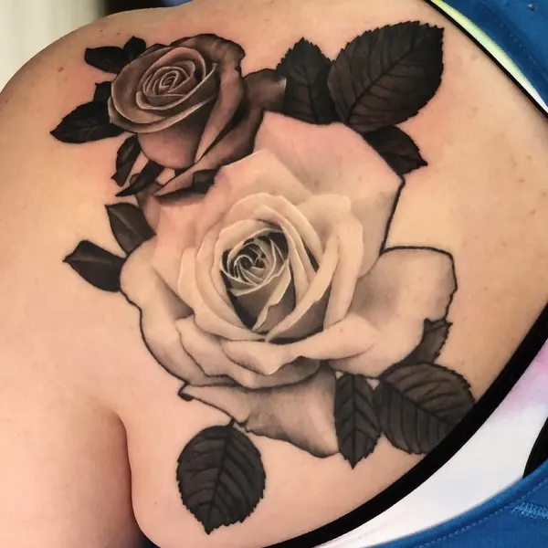 Flower, Rose, Nature