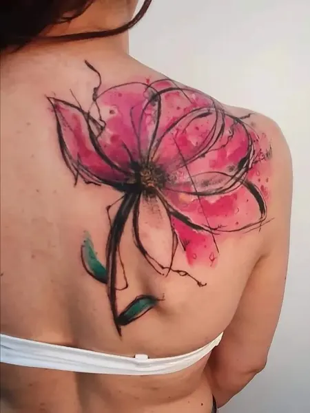 Flower, Nature, Rose