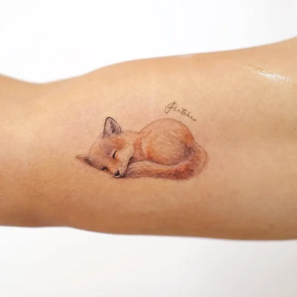여우, Animal, 다람쥐