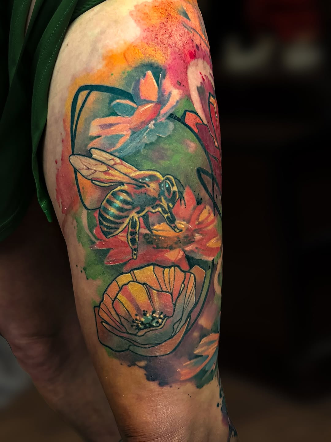 Flower, Animal, Rose