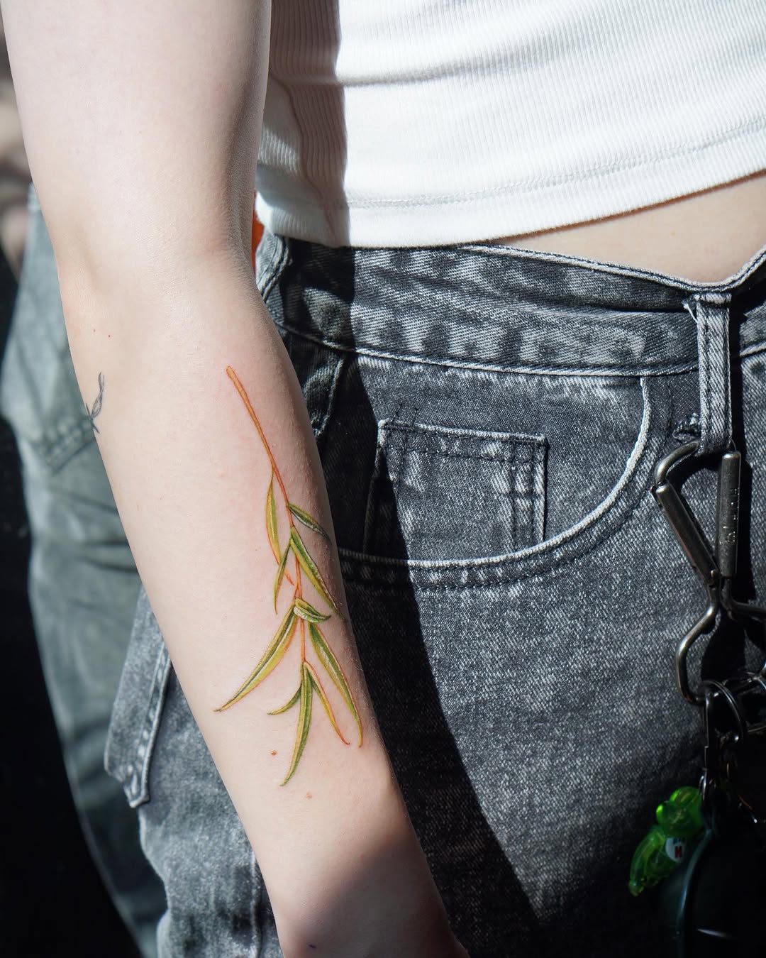 Flower, 단풍잎, 대나무, 잎, 풀