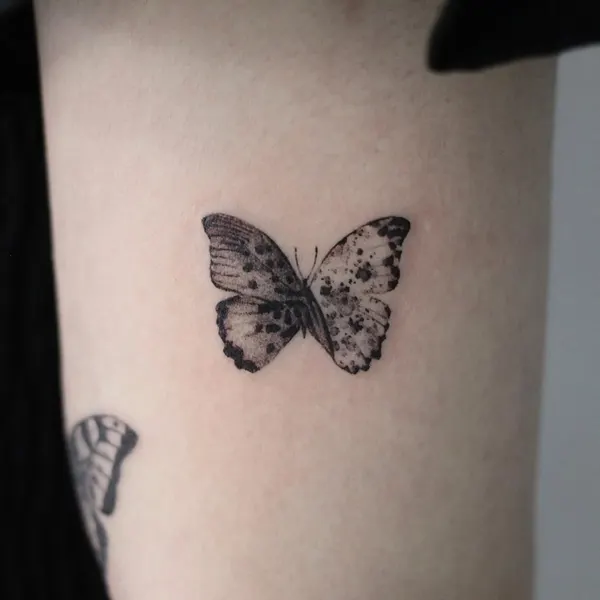 40.tatt