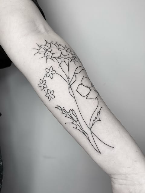 Flower, Rose