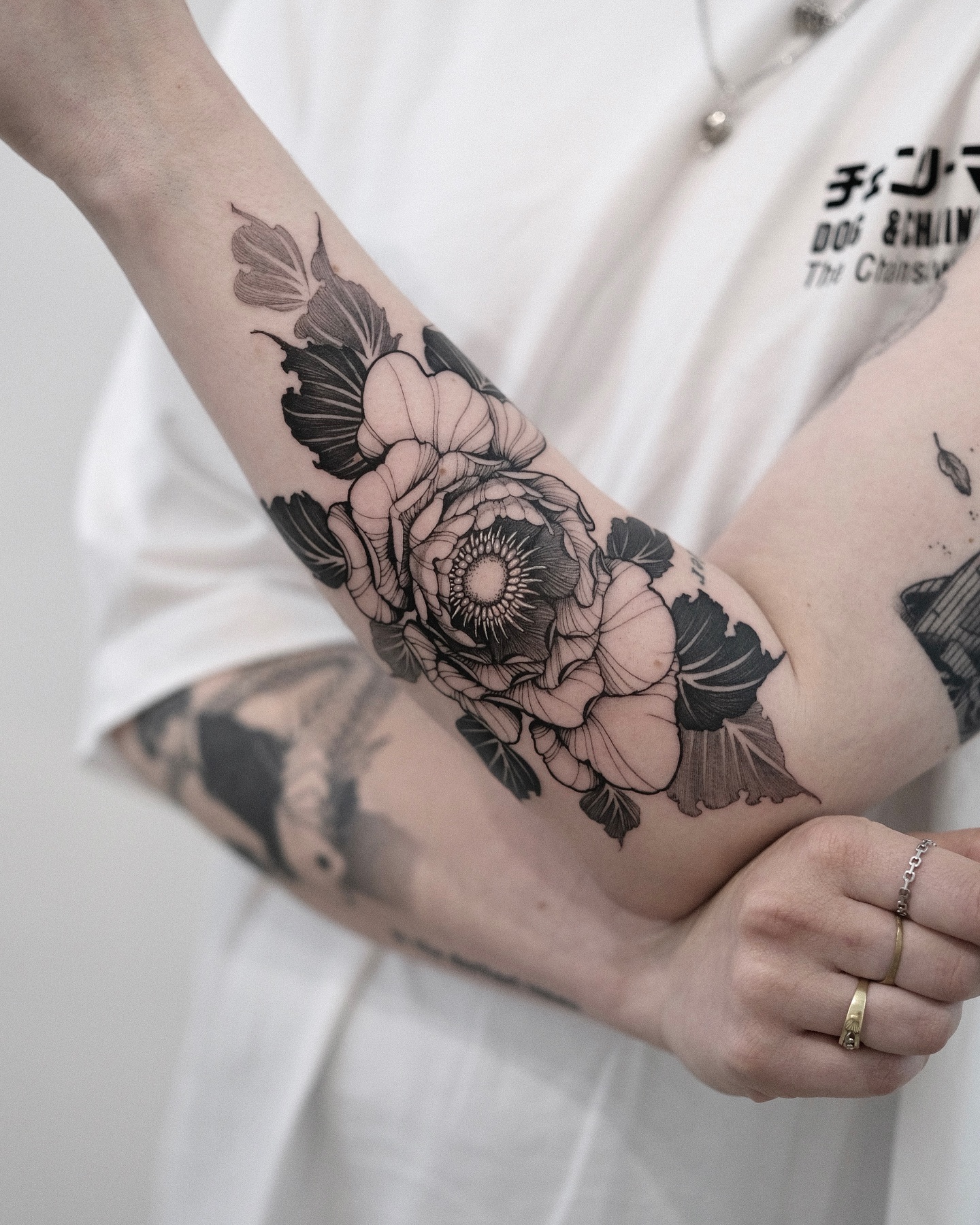 Flower, Rose