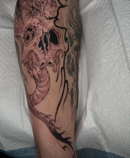 Dragon, 케르베로스
