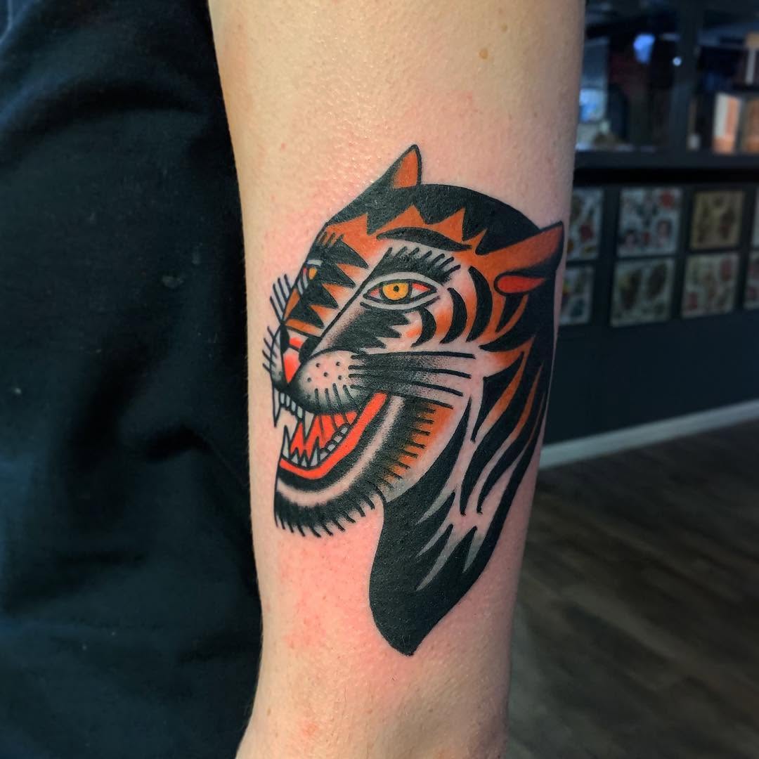 Tiger, Animal