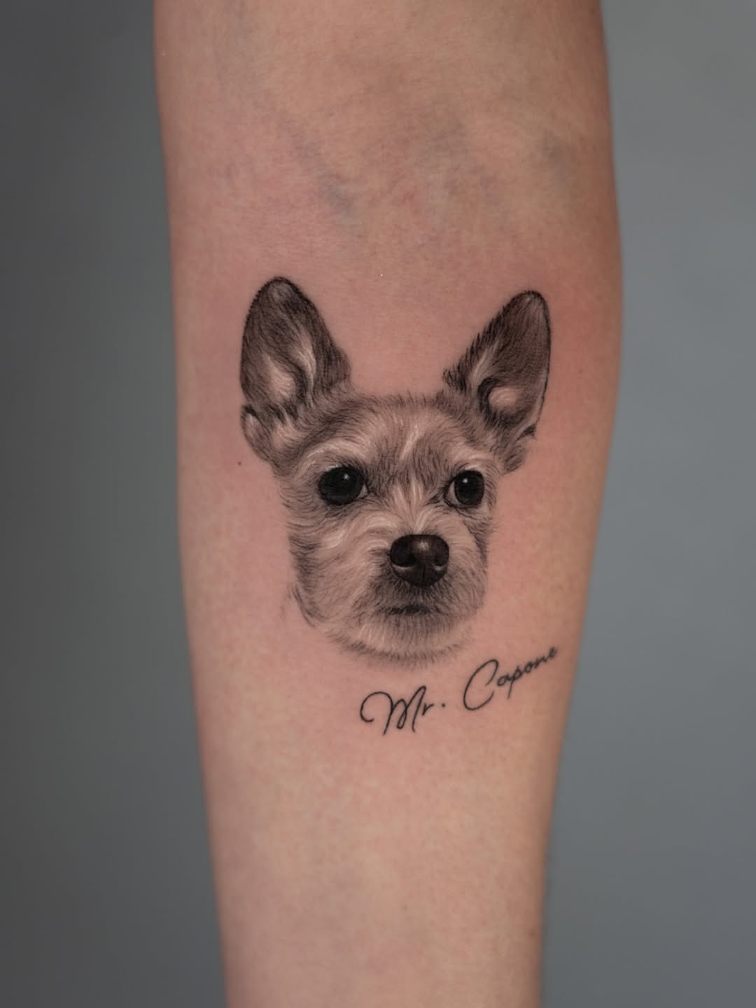lewis.tattoo