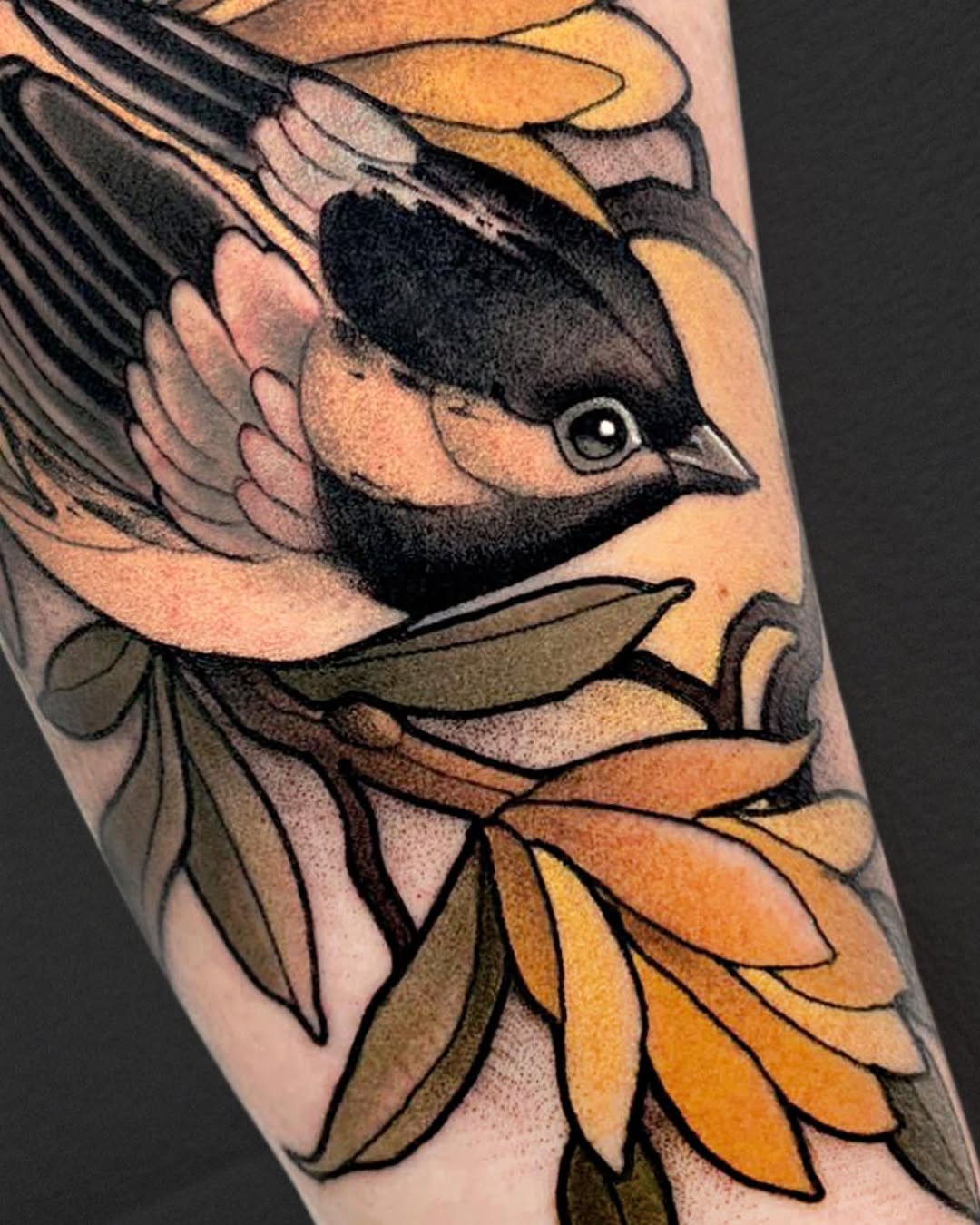 Animal
