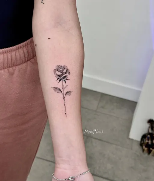 Flower, Rose
