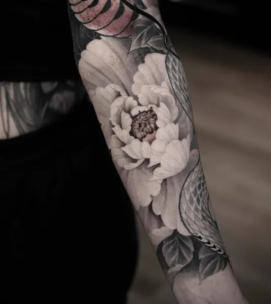 Flower, Rose
