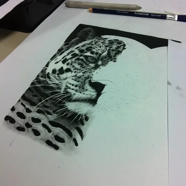 Animal