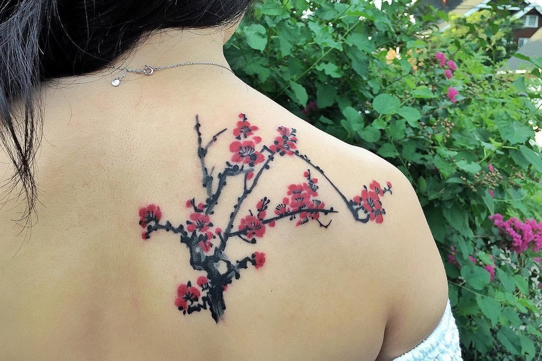 Flower, Nature, Rose