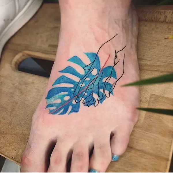 equilattera