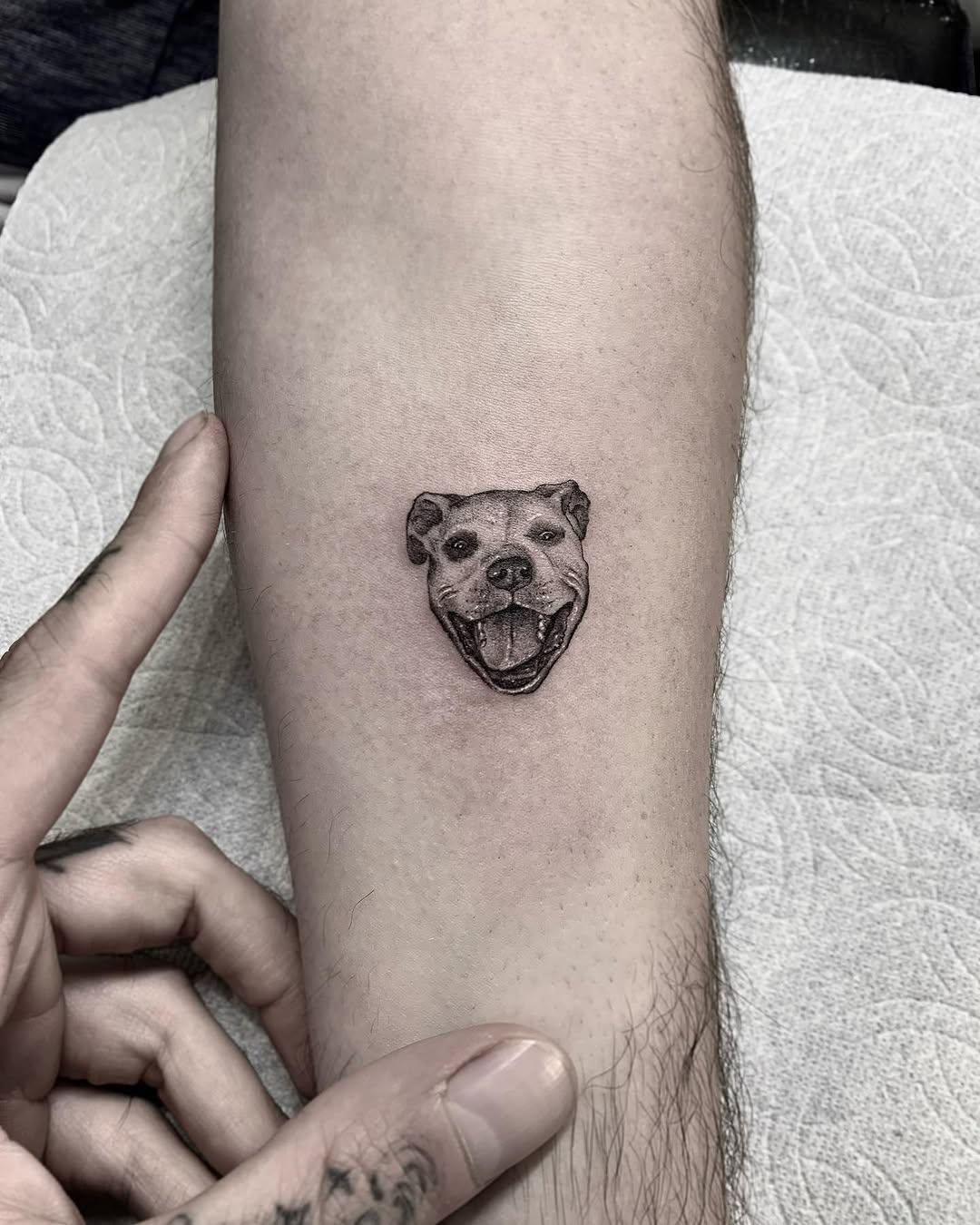 romeolacoste