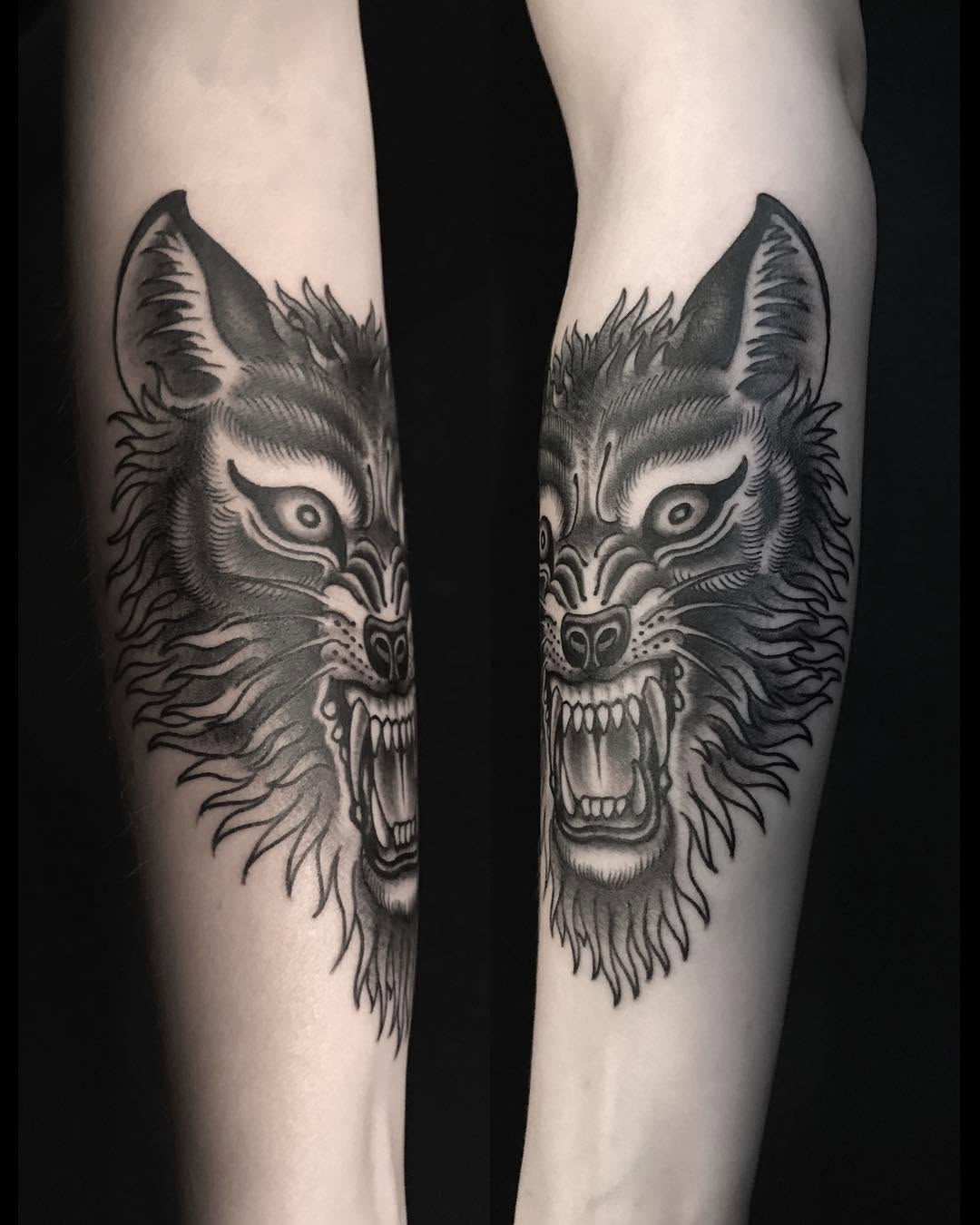 Tiger, Animal
