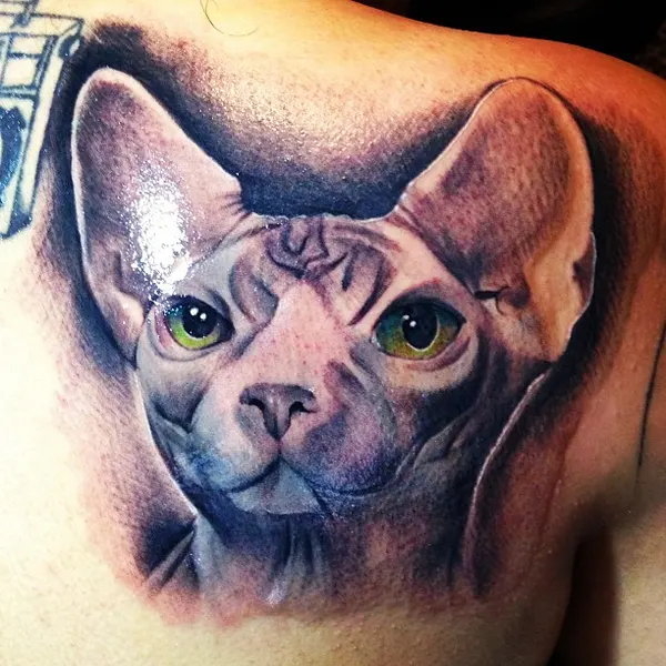 kats10