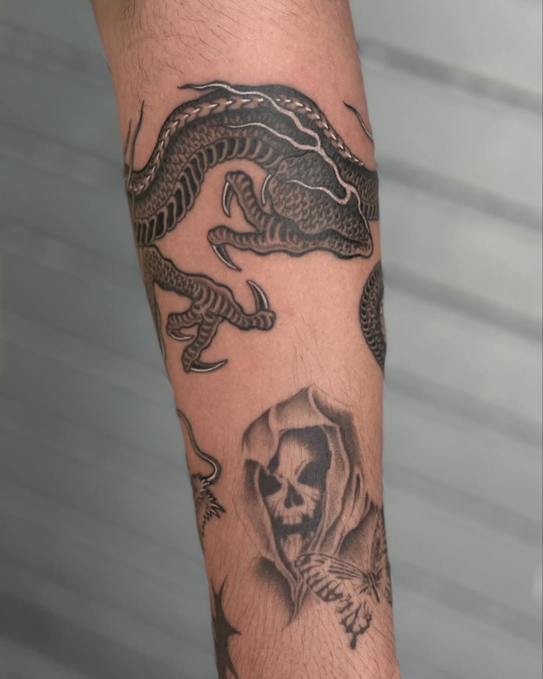 Dragon