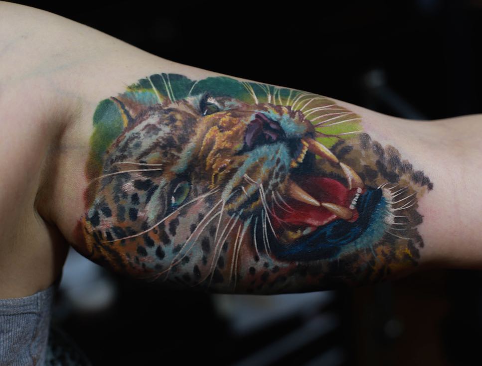 Animal