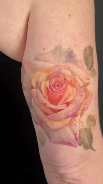Flower, Rose
