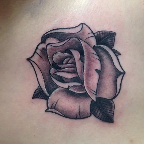 Rose, Nature, Flower
