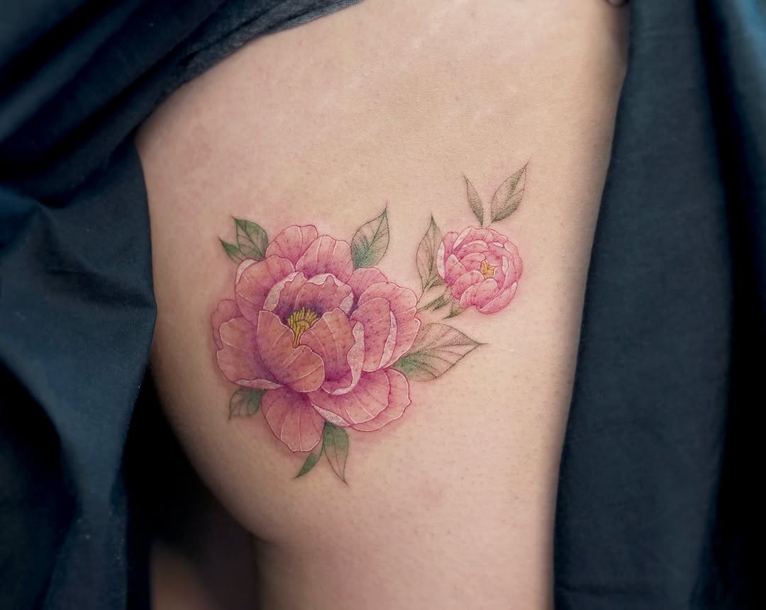 Flower, Rose, Nature