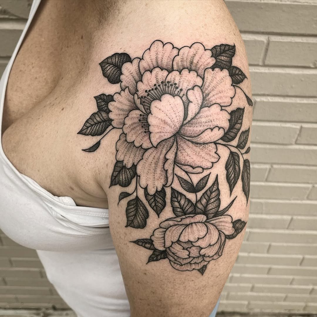 Flower, Rose, Nature