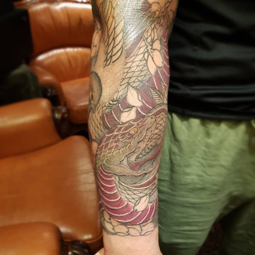 Dragon