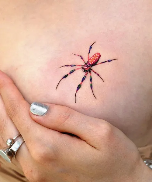 Animal, 거미