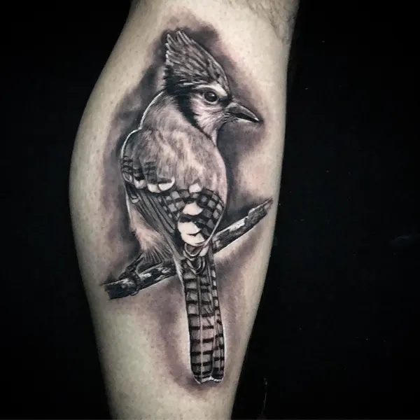 Animal