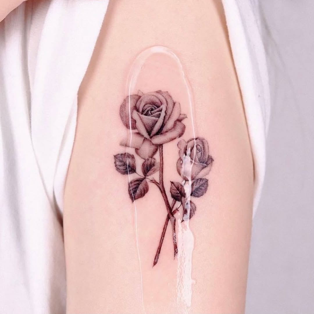 Flower, Rose