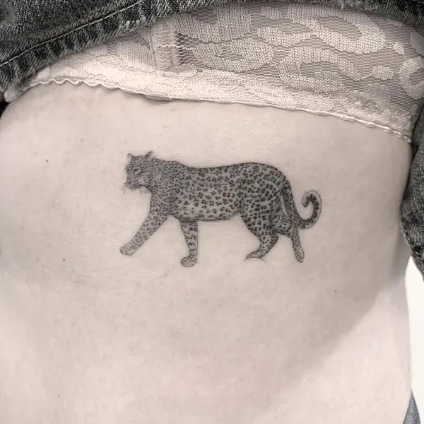 Animal, Tiger
