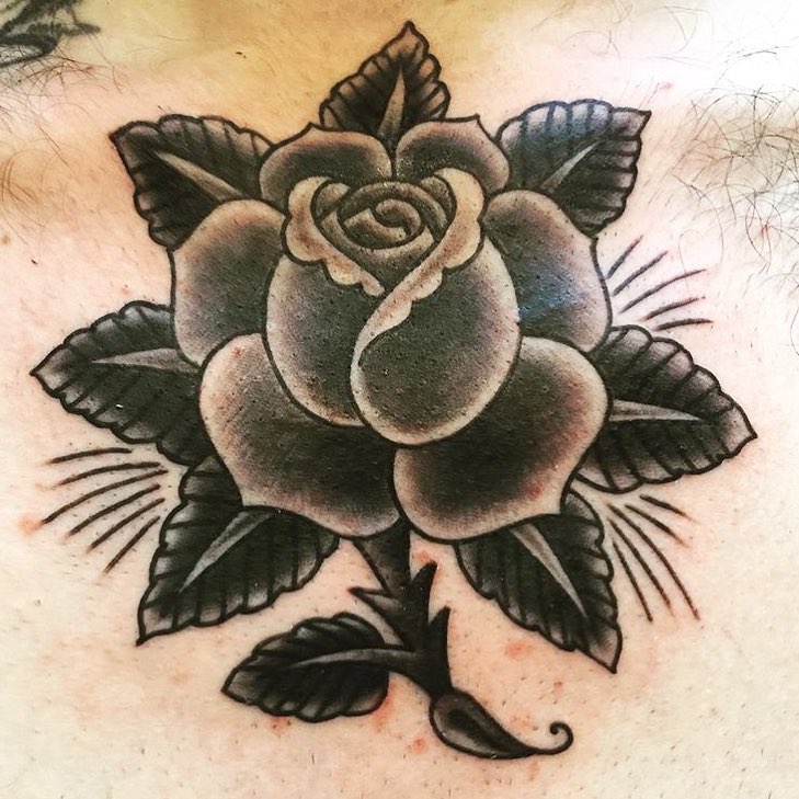 Flower, Rose, Nature