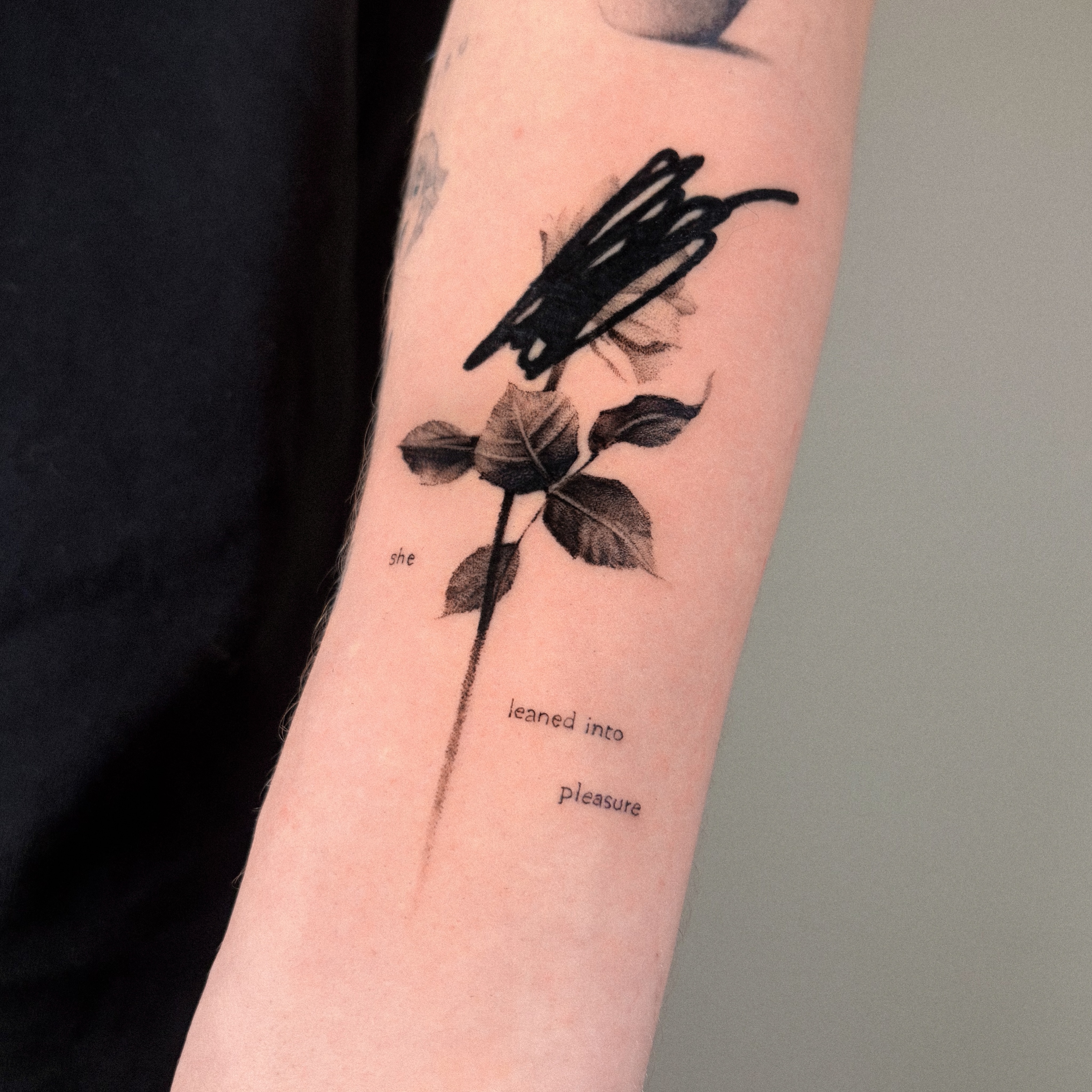 Flower, Rose