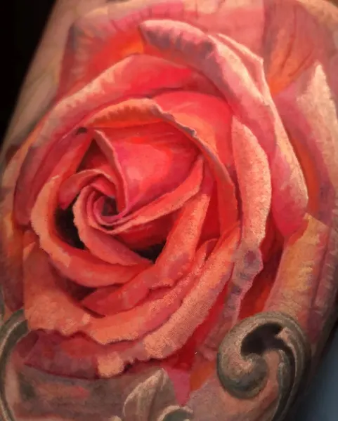 Flower, Rose