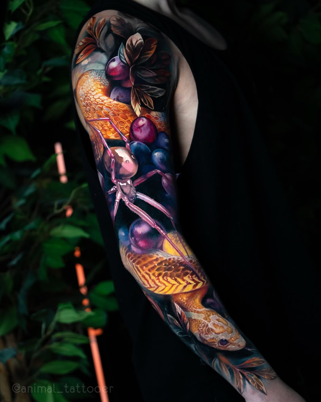 animal_tattooer