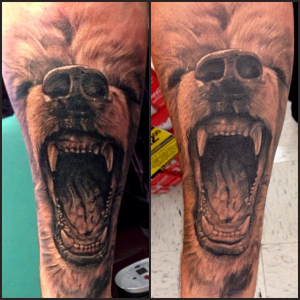 Tiger, Animal