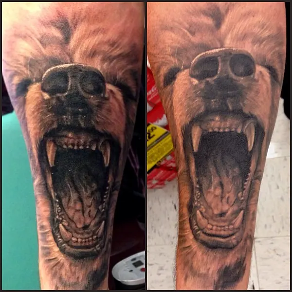 Tiger, Animal