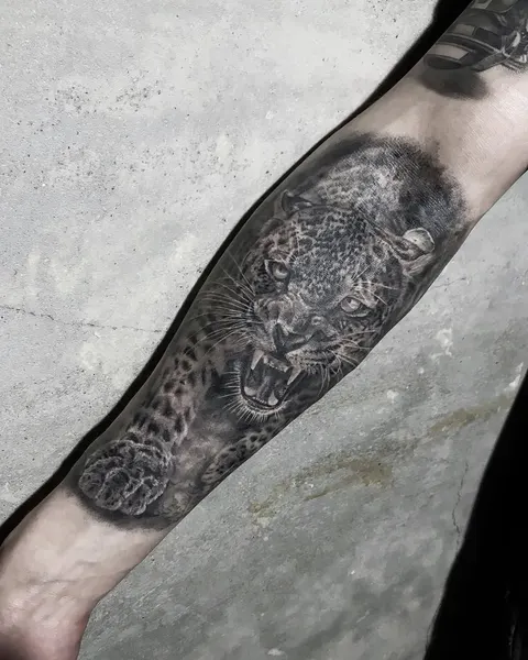 Animal, 표범, 재규어