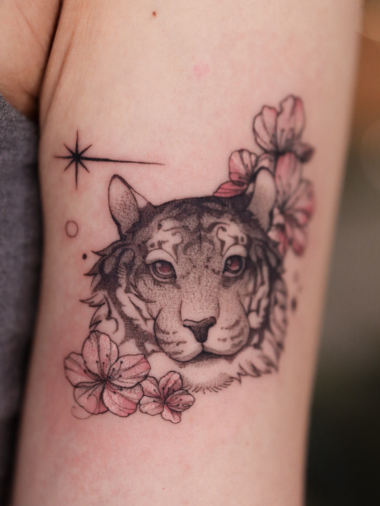Tiger